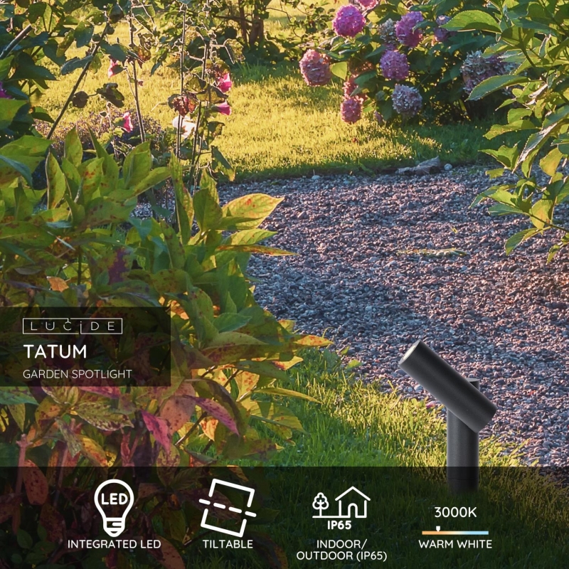 Lucide TATUM - Záhradné bodové svietidlo Outdoor - LED - 1x4,5W 3000K - IP65 - Antracit